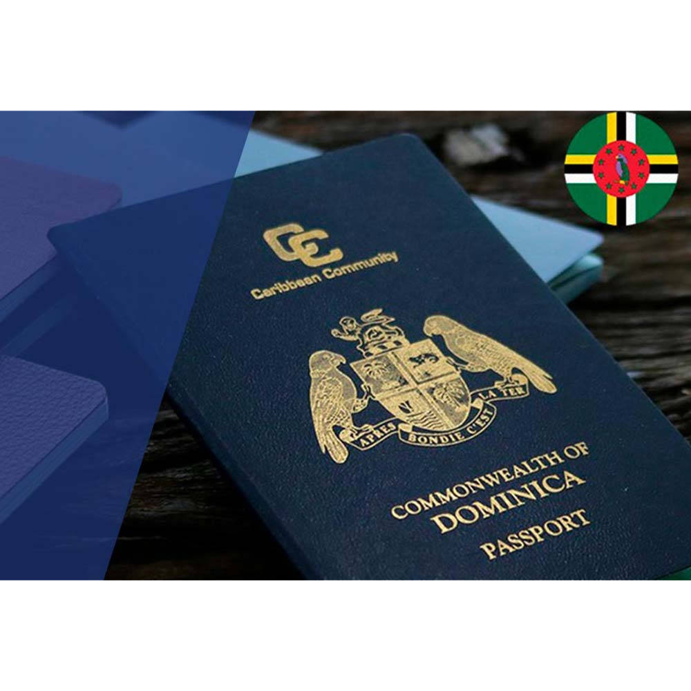 Passport with document inside